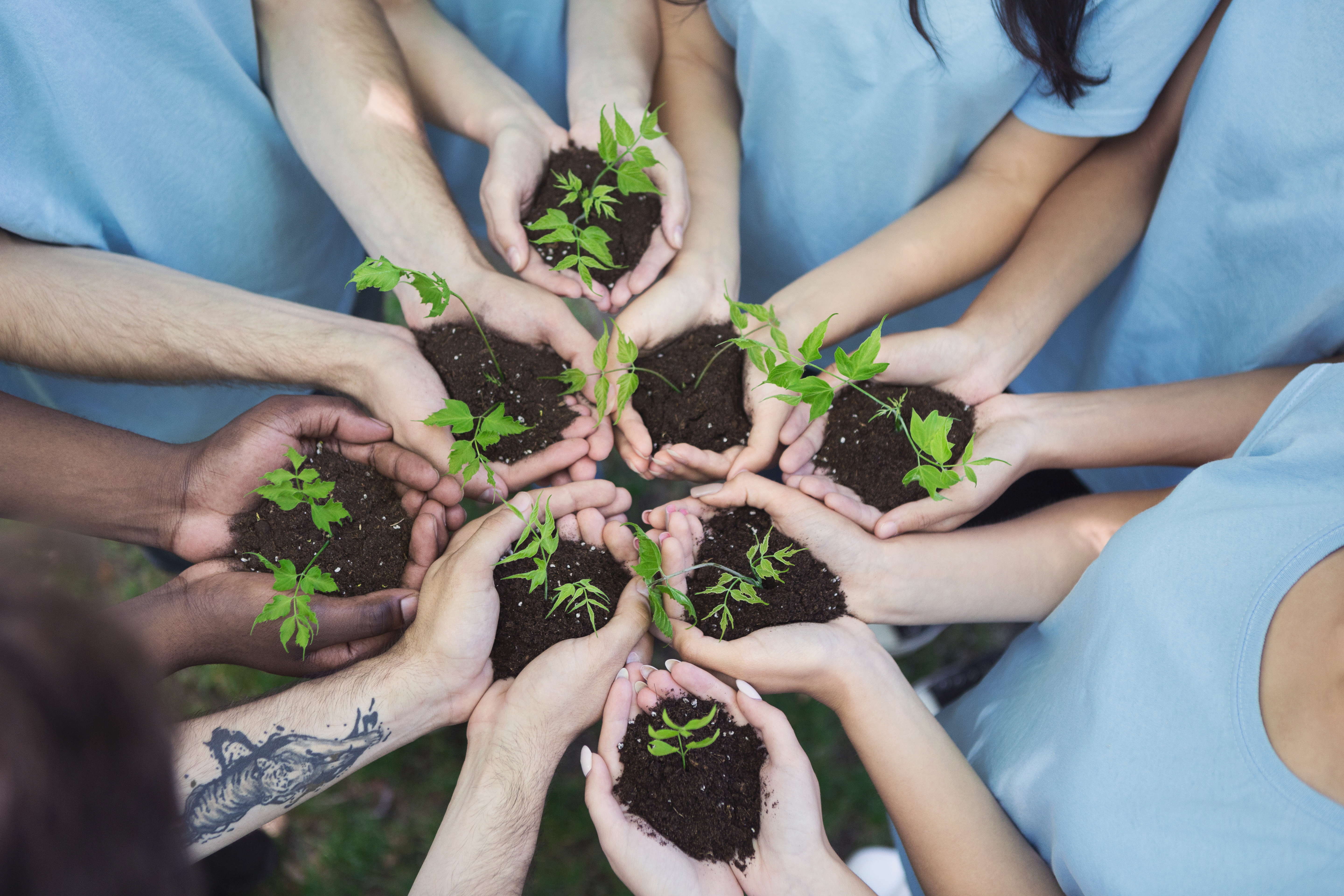 The hands of many people of different gender, age, and skin color, each holding some earth with a budding plant.